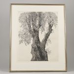 1702 5279 ETCHING